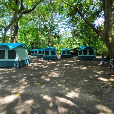 El Coquito Happy Camping Arrecifes Dentro Del Parque Nacional Natural Tayrona מראה חיצוני תמונה